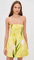 Golden Meadow Mini Dress
