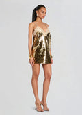 Gold Sequin Lace Party Dress
