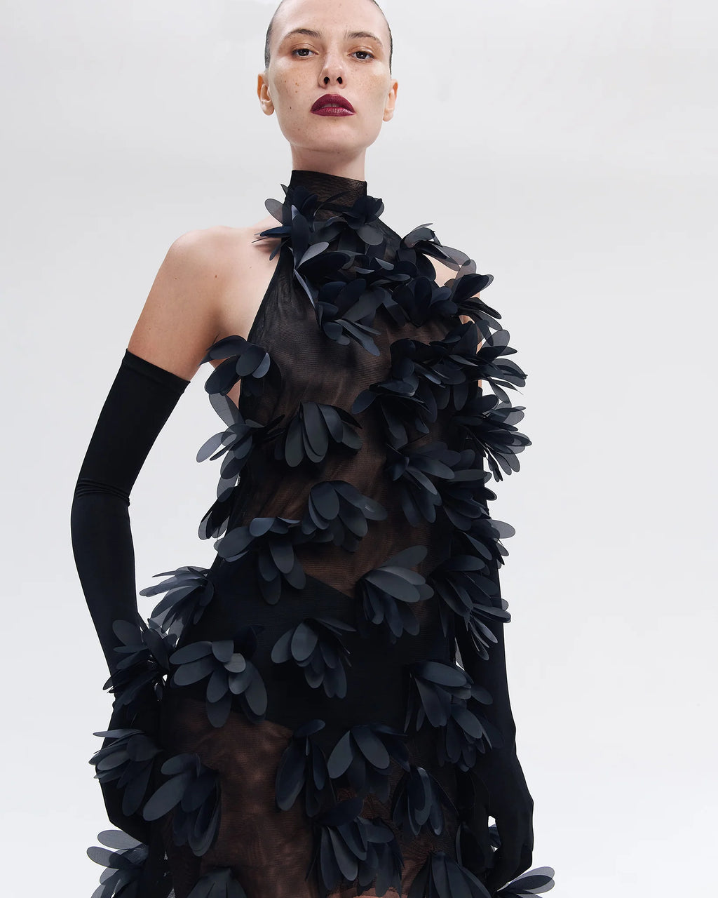 Midnight Petal Hi-Lo Dress